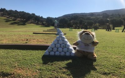 Wie findet man den richtigen Golflehrer?