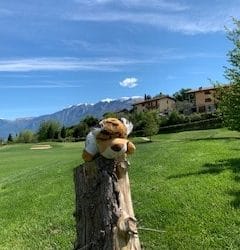 Herr Tiger erklärt den „Bounce“