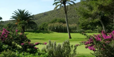 Golfplatz im Salobre Golfresort auf Gran Canaria mit Palmen, grünen Fairways und Blüten im Vordergrund – ideal für Golfurlaub Gran Canaria